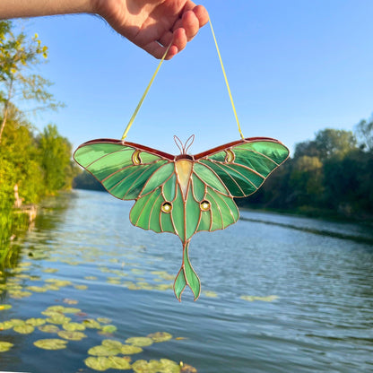 Luna moth stained resin window hangings