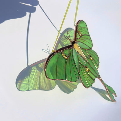 Luna moth stained resin window hangings